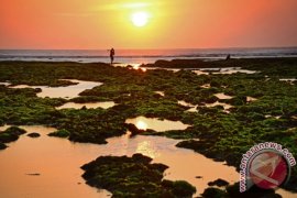 SENJA PANTAI RANTUNG Page 1 Small