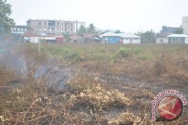 Haze Again Hit Some South Kalimantan Region