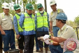 PEMBIBITAN IKAN PT ADARO