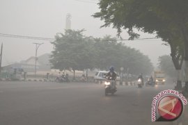 South Kalimantan hopes for more rain to cope with forest fires