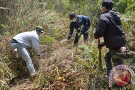 Belasan Pendaki Masih Bertahan di Gunung Lawu