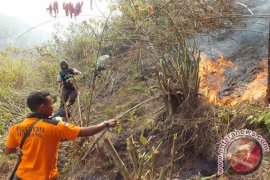 Petugas Kesulitan Padamkan Kebakaran Hutan Gunung Semeru