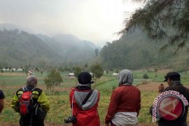 TNBTS: Api Unggun Penyebab Kebakaran Gunung Semeru