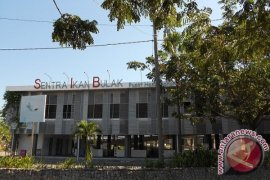 Menggali "Mutiara" di Pesisir Kenjeran Surabaya (2)
