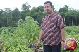 Cawali Samarinda Mudiyat Noor Gagas Otonomi Kelurahan