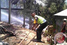 Kandang Ayam Ludes Terbakar