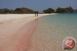 "Pink Beach" Jadi Primadona Baru Wisatawan Mancanegara
