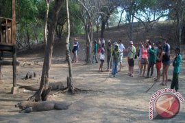 Agen Perjalanan Wisata Asia Lirik Potensi Flores