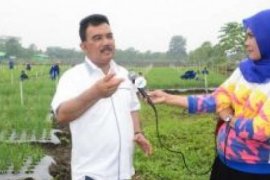 Jefry: 9 Persen Masyarakat Kampar Terbebas Dari Kemiskinan Tahun 2016