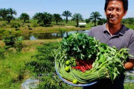 Kesuksesan Kelompok Pertanian Terpadu Sakai Duri