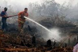 Menjaga Lahan Gambut Tetep Basah