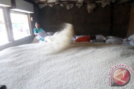 Pedagang: Harga Beras di Bojonegoro Stabil