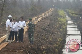 JOKOWI TINJAU SEKAT KANAL Page 1 Small