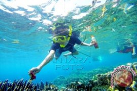 Putri Pariwisata di Taman Laut Olele