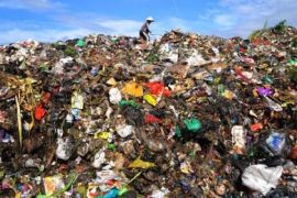 Dua Negara Tertarik Bantu Semarang Kelola Sampah