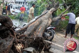 Kios   di "Taman remaja" rusak tertimpa pohon