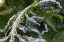 Cuaca buruk kembali melanda, Kali ini salju menyelimuti Albania