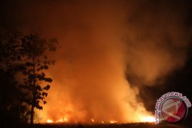 Kebakaran Ladang Tebu Tulungagung