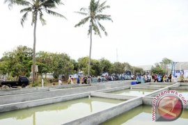 Banyuwangi Jadi Technopark Budi Daya Sidat Indonesia