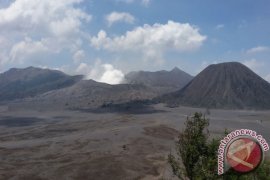 Gempa Tremor Gunung Bromo Masih Fluktuatif