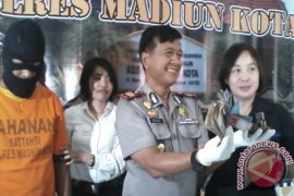 Polres Madiun Kota Tangkap Bandar Judi Dadu