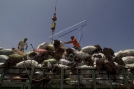 Distribusi Rumput Laut 