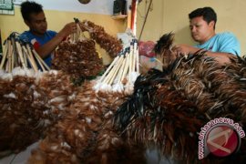 Sulak Limbah Bulu Ayam