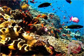 Menjajal Surga di Utara Sulawesi