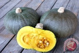 Rumah makan bubur manado terpukul kenaikan buah Labu 