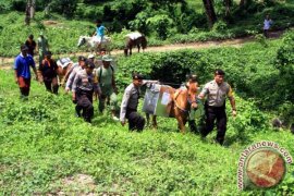 KPU Jember Distribusi Logistik Pilkada dengan Kuda