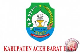 Pemkab Abdya Bangun PLTMH Bantu PLN