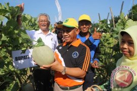 HSU siap tawarkan potensi lokal ke investor asing