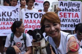 Kementan ingatkan masyarakat bahaya konsumsi daging anjing