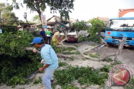 BPBD Bojonegoro Tetap Waspadai Angin Kencang