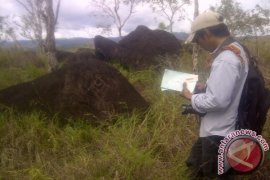Pengunjung: Situs Megalitik Tutari butuh perhatian