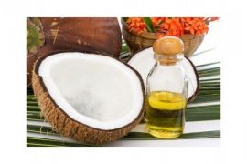 N. Sulawesi exports 13.1 million tons of CCO to the Netherlands