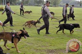 Fungsi intelijen agar dioptimalkan dalam Operasi Lilin 2015