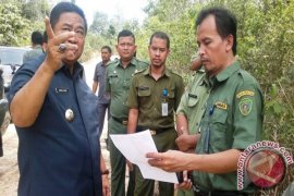 Jalan pantai Lango-Riko Penajam dipastikan segera dibangun