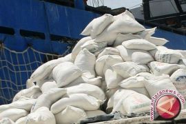 Pakar: Sagu solusi swasembada pangan Indonesia