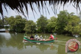 Ekowisata mangrove Bantul dilengkapi menara pandang Page 1 Small