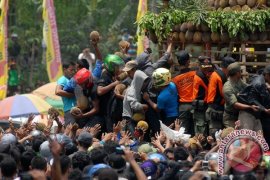 Ayo ke Festival Durian Lolong Pekalongan pada 31 Januari Page 1 Small