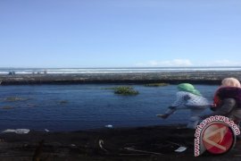 DPRD Jatim Rekomendasikan Penutupan Tambang Pesisir Pacitan-Banyuwangi