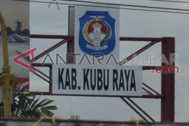Kubu Raya Kembangkan Budidaya Jagung Hibrida 