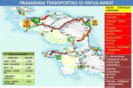 Railways can solve Papua`s transportation problems