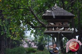 Kota Jambi gandeng  Ragunan buat taman burung