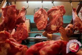 Sumut Dapat Jatah Impor 2.575 Ekor Sapi 