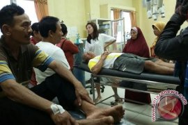 Dua warga Rejanglebong diseruduk babi ngamuk