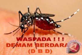 Babel kemarin, pelihara ikan cegah DBD hingga bantuan sembako dari Muhammadiyah