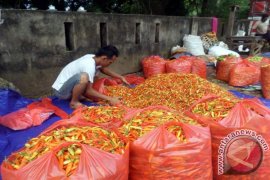 Harga Sejumlah Bahan Pokok di Bojonegoro Turun