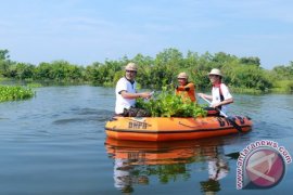 Tebing Setinggi 25 Meter Di Klungkung Longsor